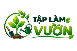 logo taplamvuon